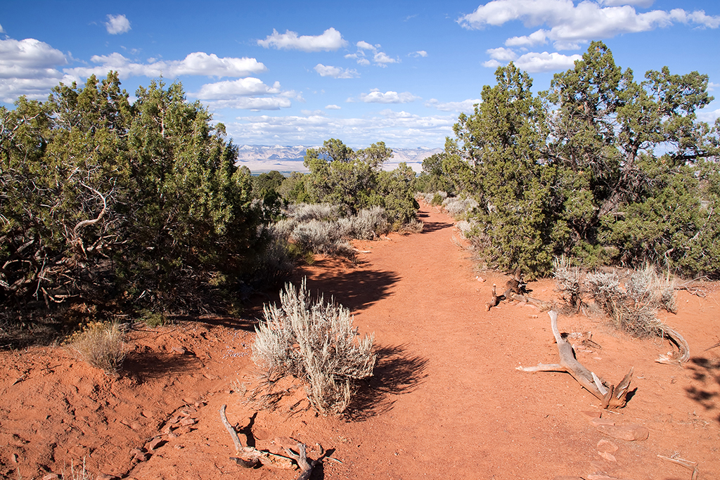 13_Colorado National Monument_2.jpg